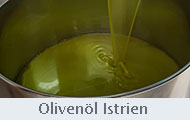 Olivenölverkostung_in_Istrien