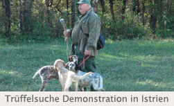 Trüffelsuche_demonstration