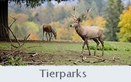 Tierparks_Bjelovar