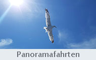 Panoramafahrten_Dubrovnik