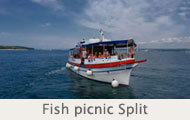 Fishpicnic_Split