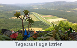 Tagesausflüge_Istrien